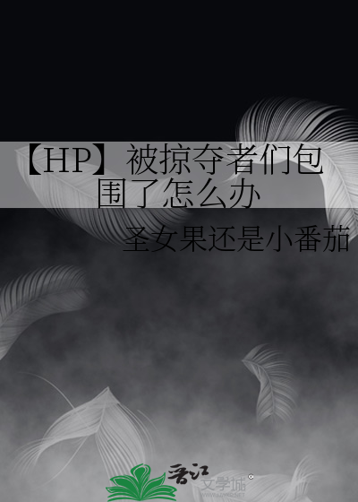 hp掠夺者们攻略文