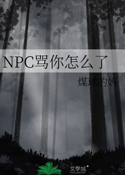 npc怎么又被我吓裂了2k小说